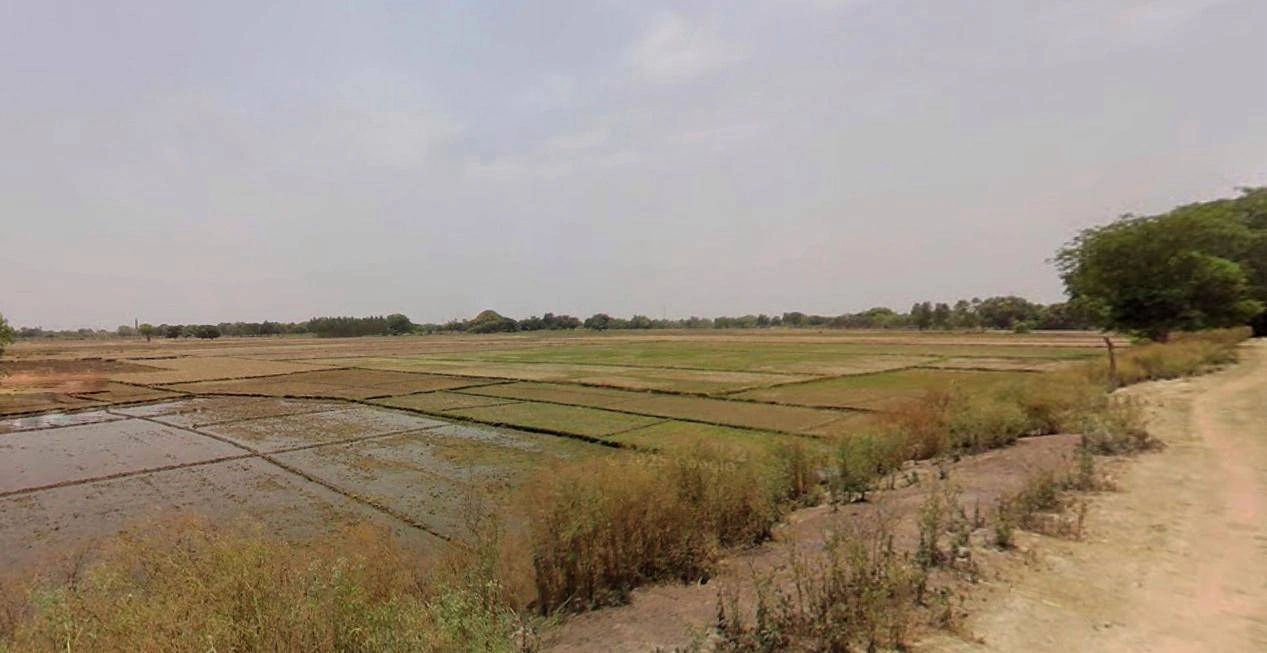 Anupgarh, Rajasthan 335701, India