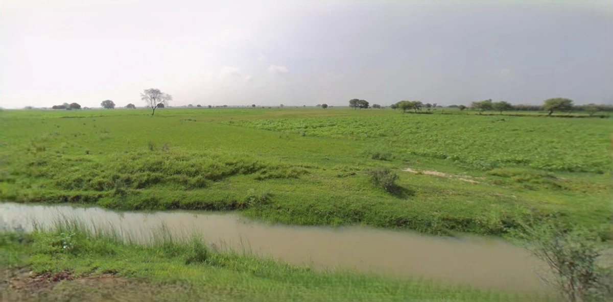 Rewari, Haryana 123401, India