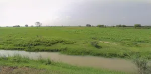 Rewari, Haryana 123401, India preview 2