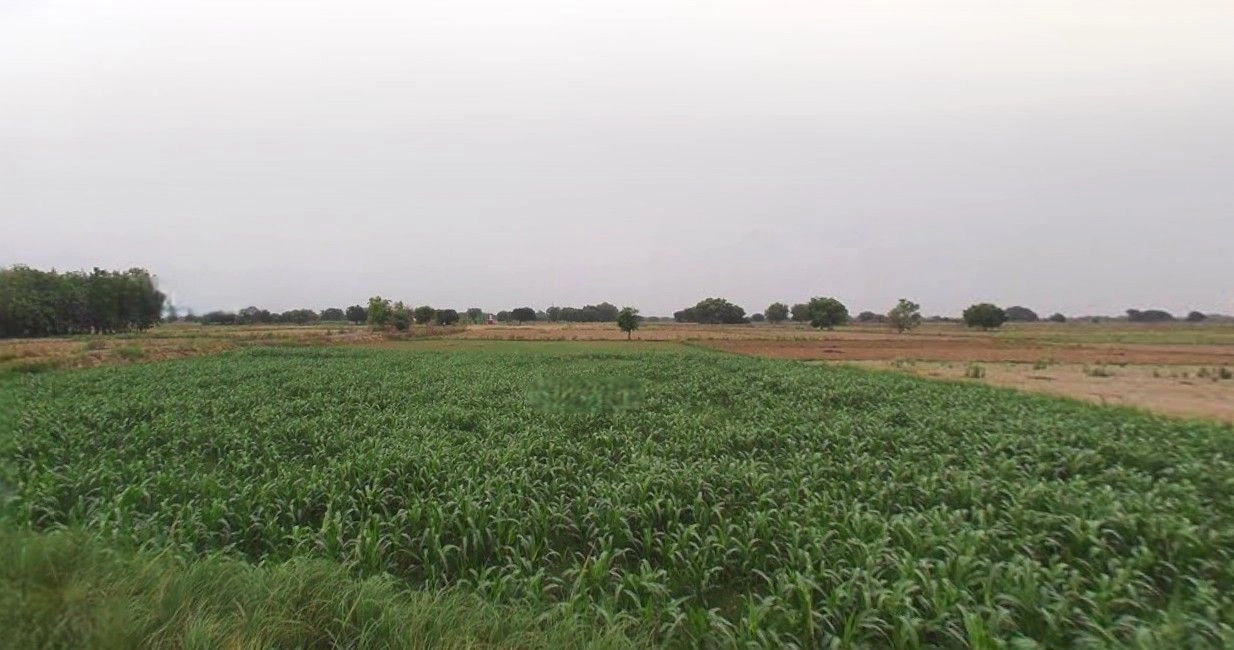 Suratgarh, Rajasthan 335804, India preview 3