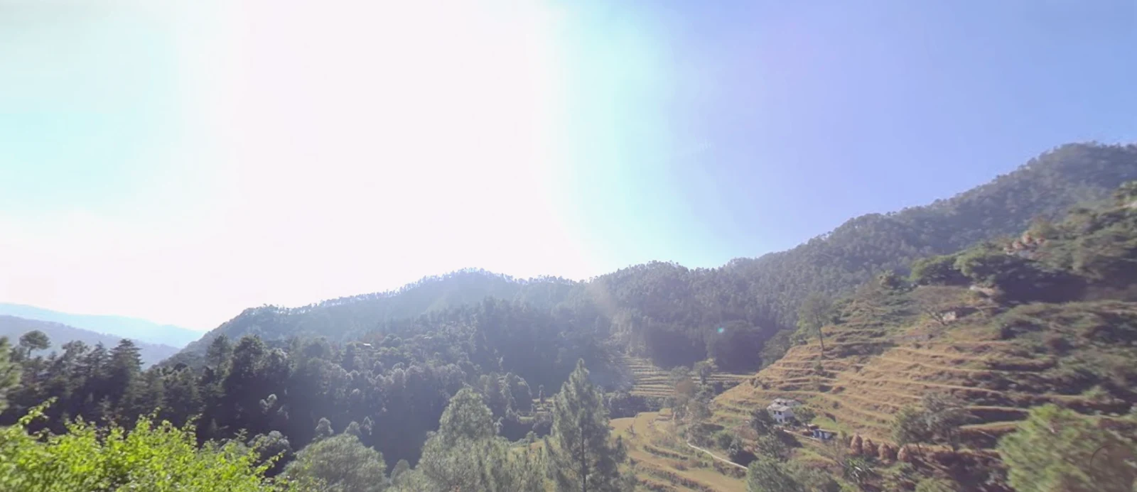 Munsyari, Uttarakhand 262554, India