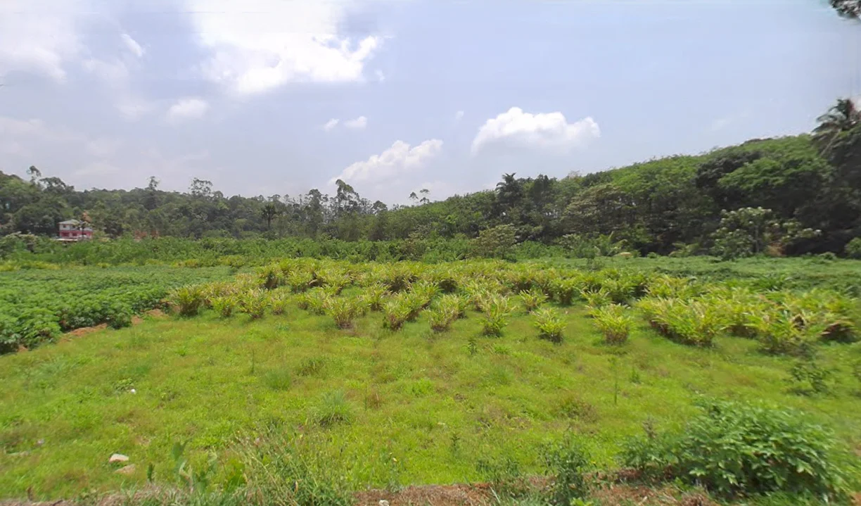 Karimban, Kerala 685602, India preview 3