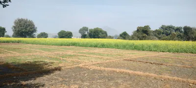 5F5Q+39 Doongri Khurd, Jaipur, Rajasthan, India preview 2