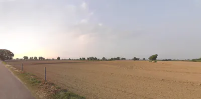 Kaluana, Haryana 125103, India preview 2