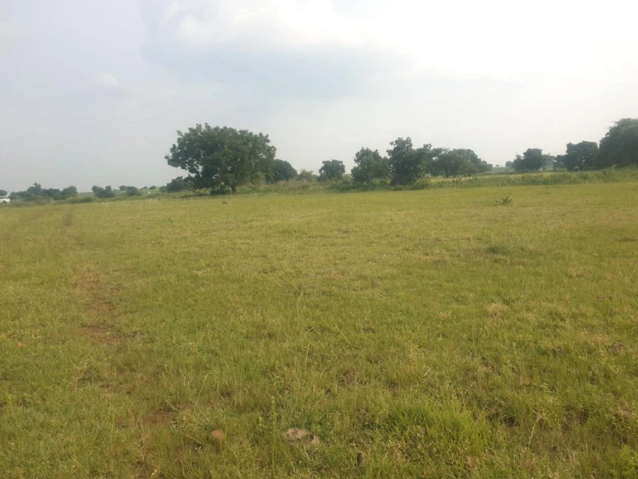 3JC7+95P, Sangareddy, Karsgutti, Telangana 502286, India