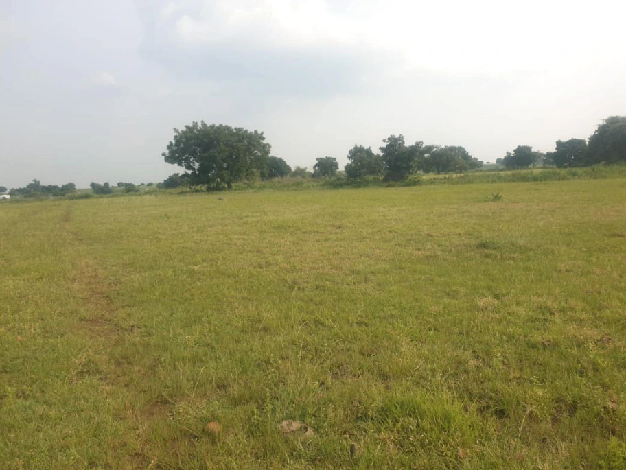 3JC7+95P, Sangareddy, Karsgutti, Telangana 502286, India - Photo 2