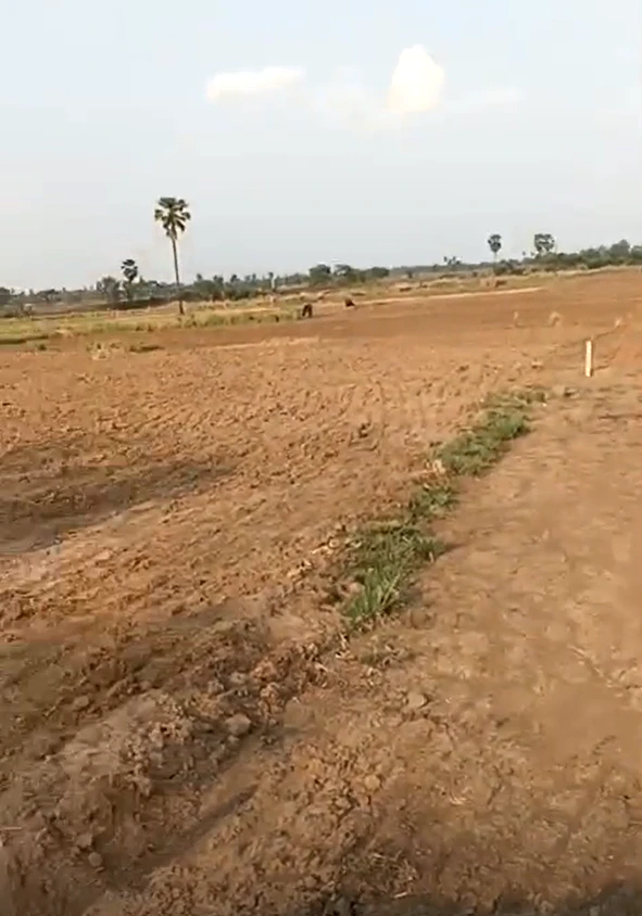 Rasaura, Uttar Pradesh 231307, India