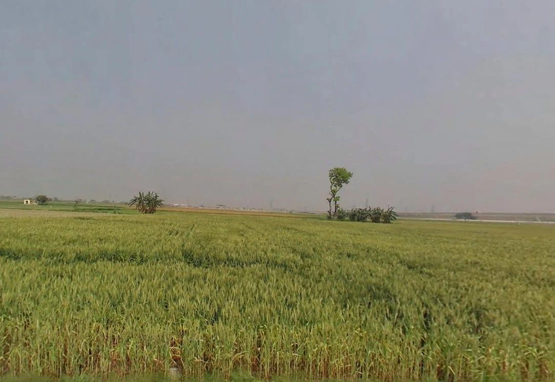 Jobner, Rajasthan, India