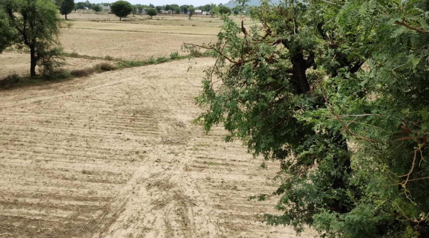 Amargarh, Punjab 148022, India