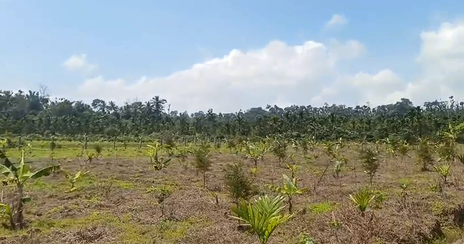 Alinagar, Chandauli, Uttar Pradesh 232101, India
