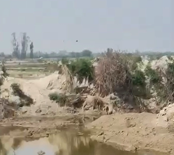 6G2V+5Q4, Falaida Bangar, Uttar Pradesh 203135, India