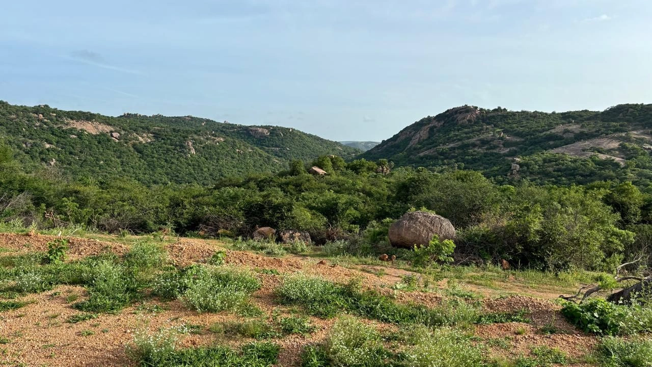 Khudabaksh Palle, Marriguda, Nalgonda, Telangana, India