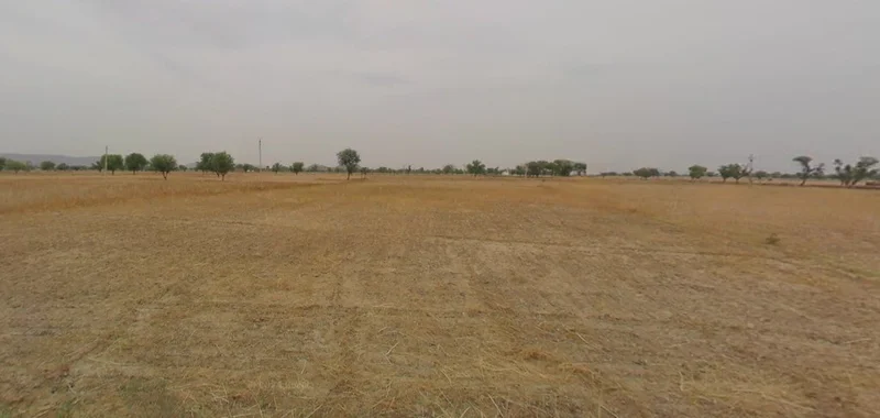 Tiwadiya, Madhya Pradesh 455336, India preview 2