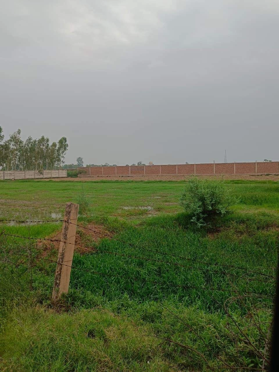 Adampur, Uttar Pradesh, India