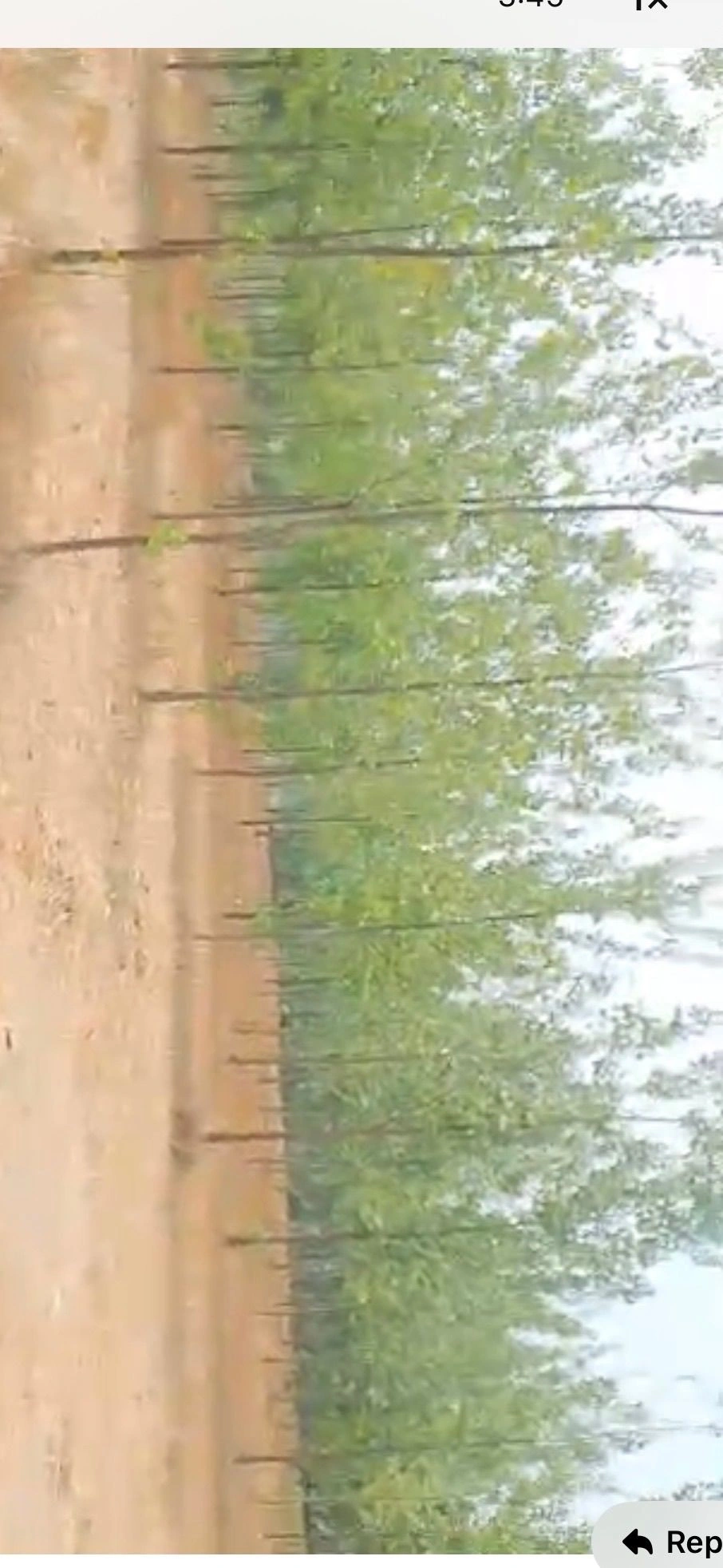 Mirganj, Meerganj, Bareilly, Uttar Pradesh, India