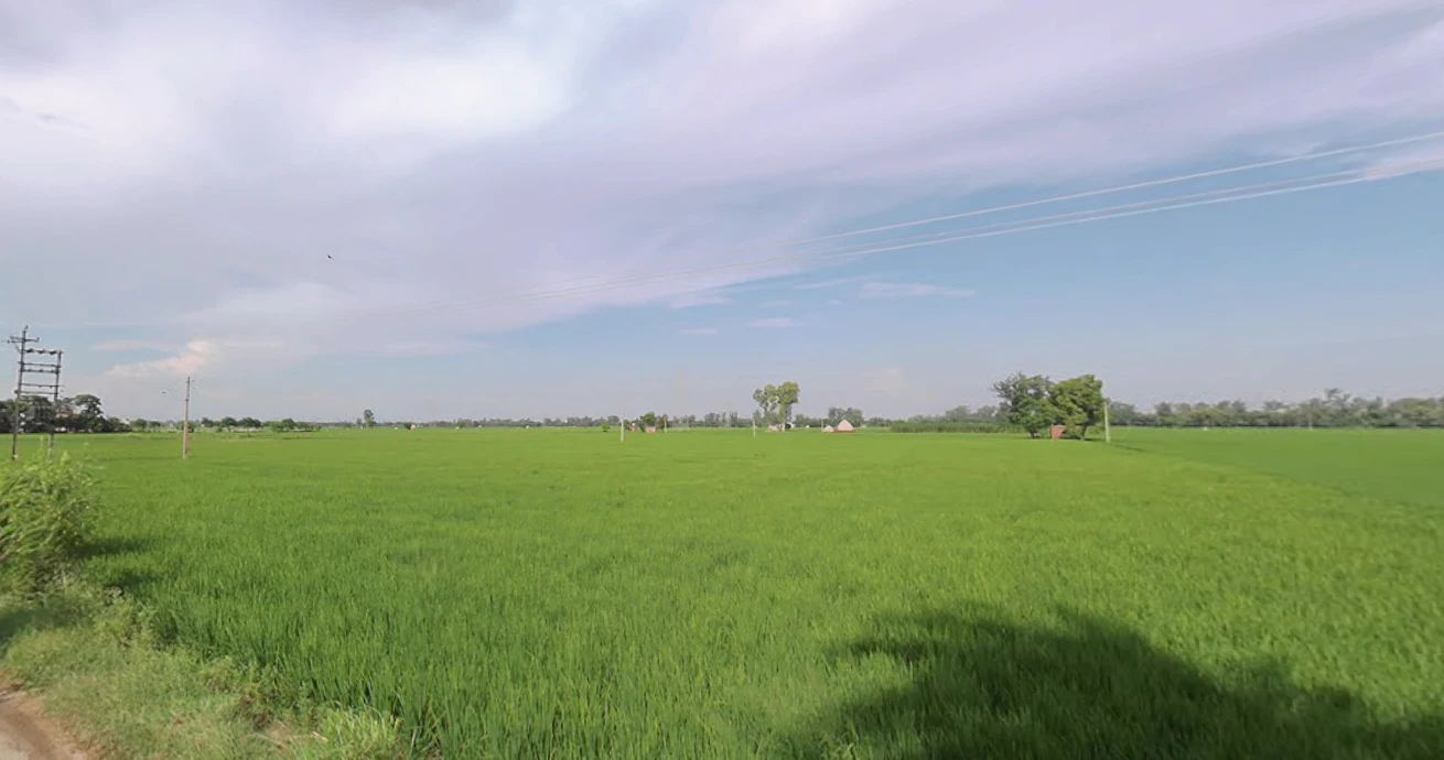 Saidpura, Punjab 141411, India