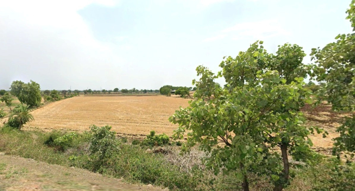 Barnagar, Madhya Pradesh 456771, India
