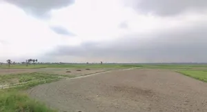 Latbasepura, Bihar 848103, India preview 2