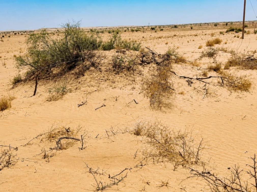 Arang, Rajasthan 344701, India