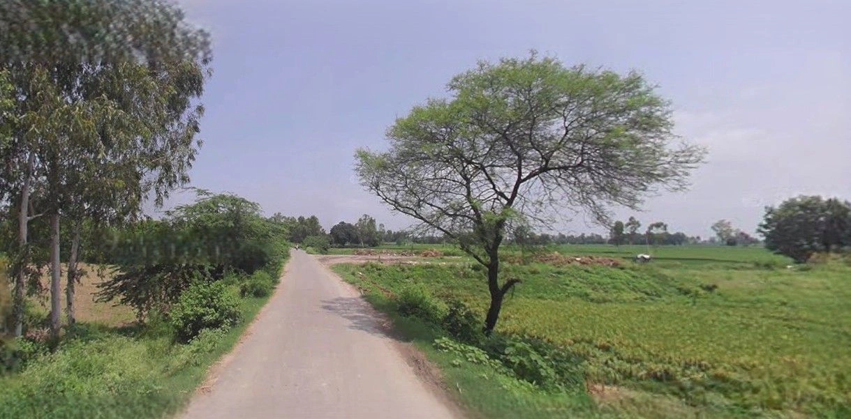 Jauli, Uttar Pradesh 251308, India preview 3