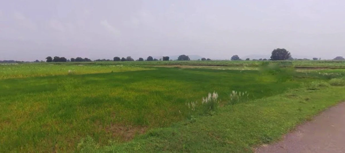 Tarana, Madhya Pradesh 456665, India
