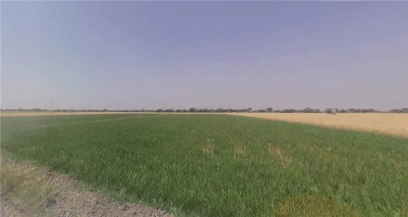 Dongarpal, Maharashtra 416511, India