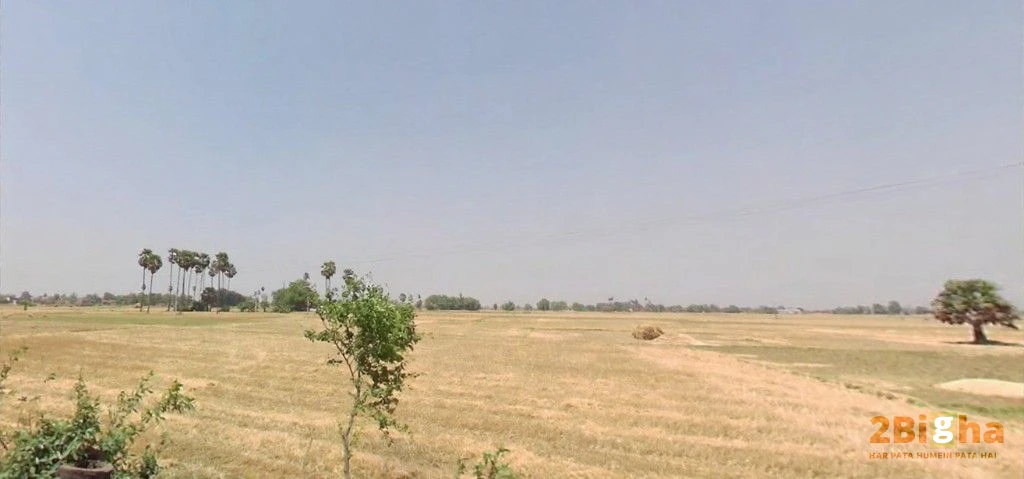 Bikram - Bihta Rd, Dayalpur Daulatpur, Bihar, India