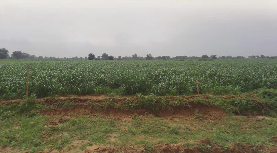 4PCP+QV4, Kiraoli, Korai, Uttar Pradesh 283110, India