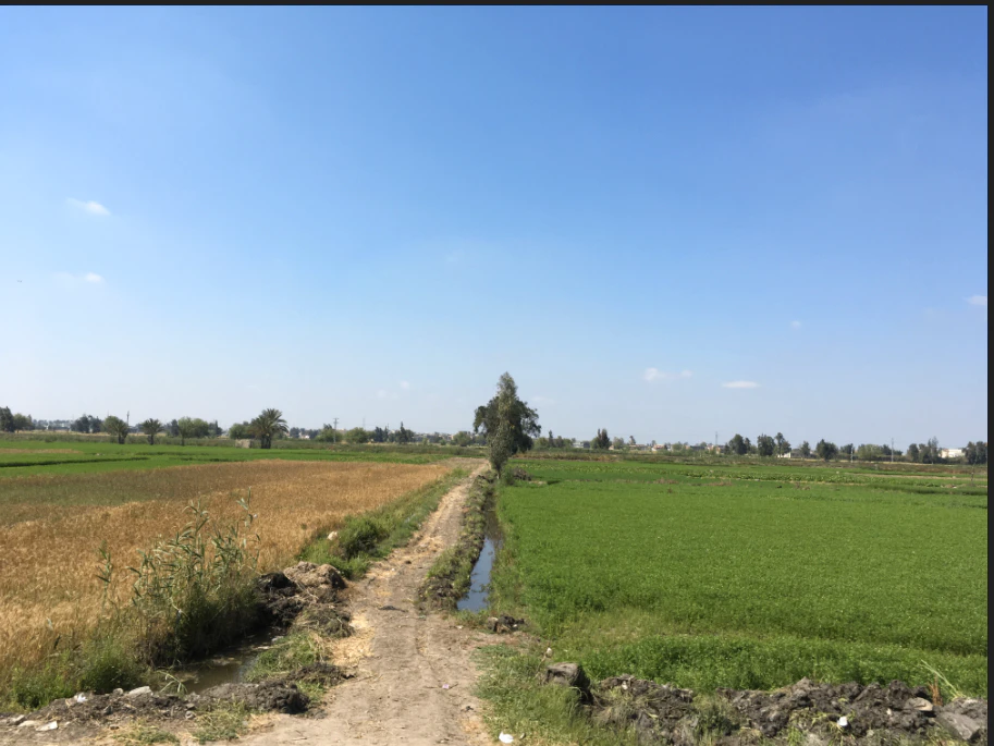 Paragaon, Chhattisgarh, India