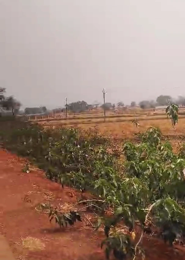 Atal Nagar-Nava Raipur, Chhattisgarh, India