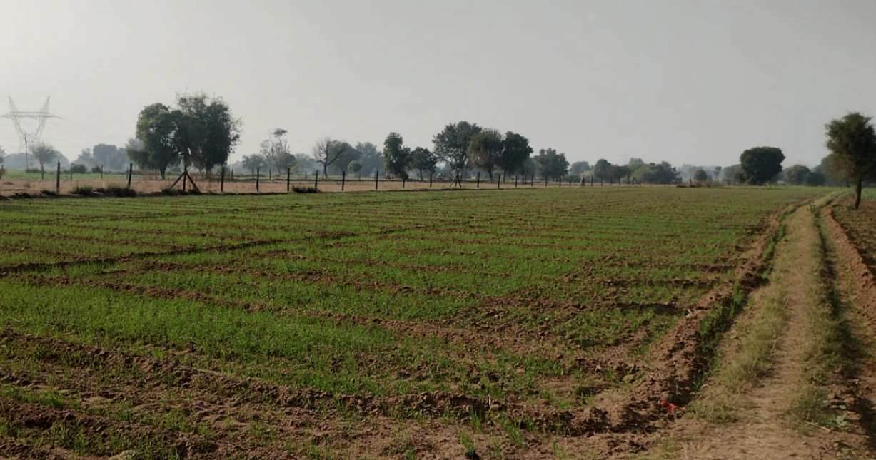 Mukteshwar, Uttarakhand, India