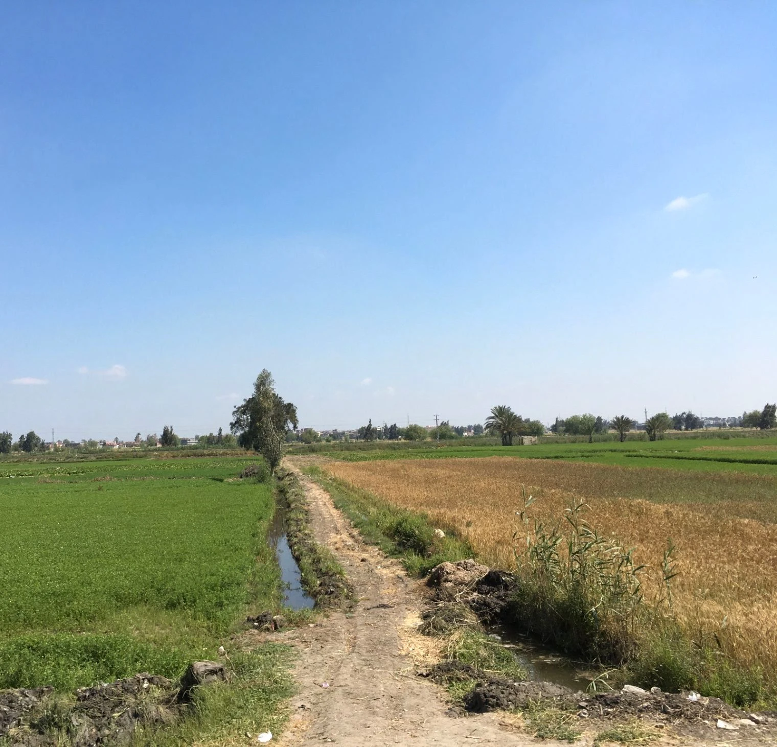 Firozpur, Punjab, India