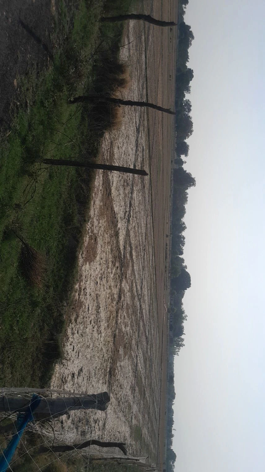 M4VX+RM Mainuddinpur, Uttar Pradesh, India