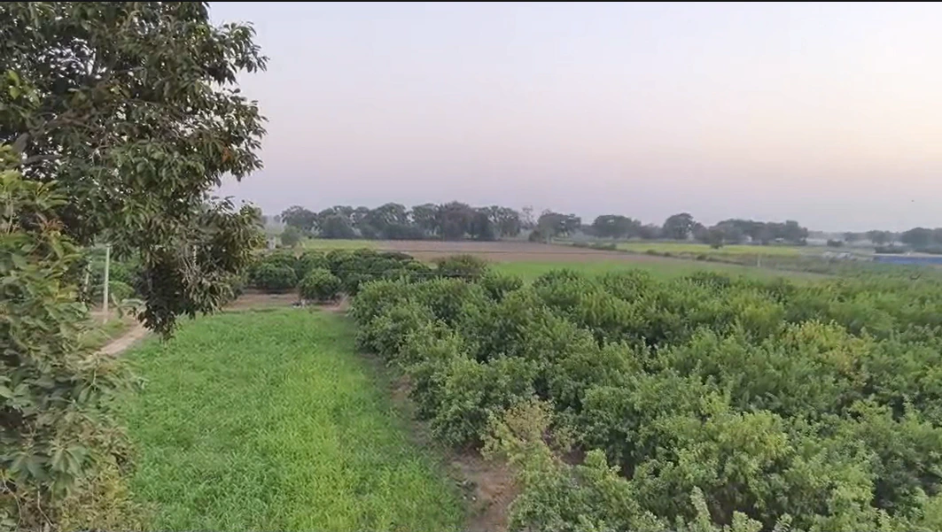 Rawalwas Khurd, Haryana 125004, India