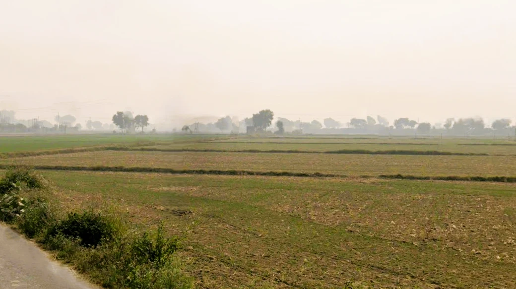 Jindran, Haryana, India