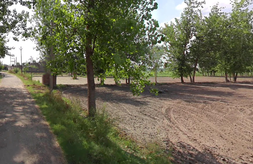 Chandra Must, Uttar Pradesh 244231, India