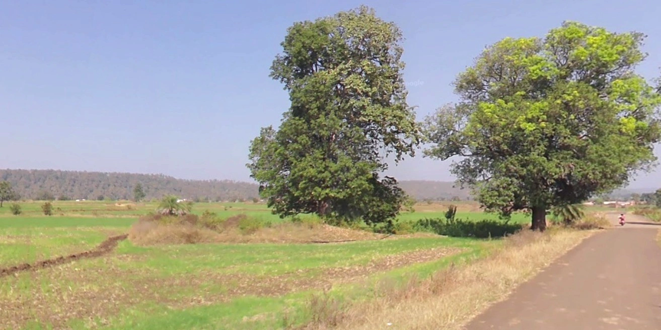 Udanpura, Madhya Pradesh 455227, India