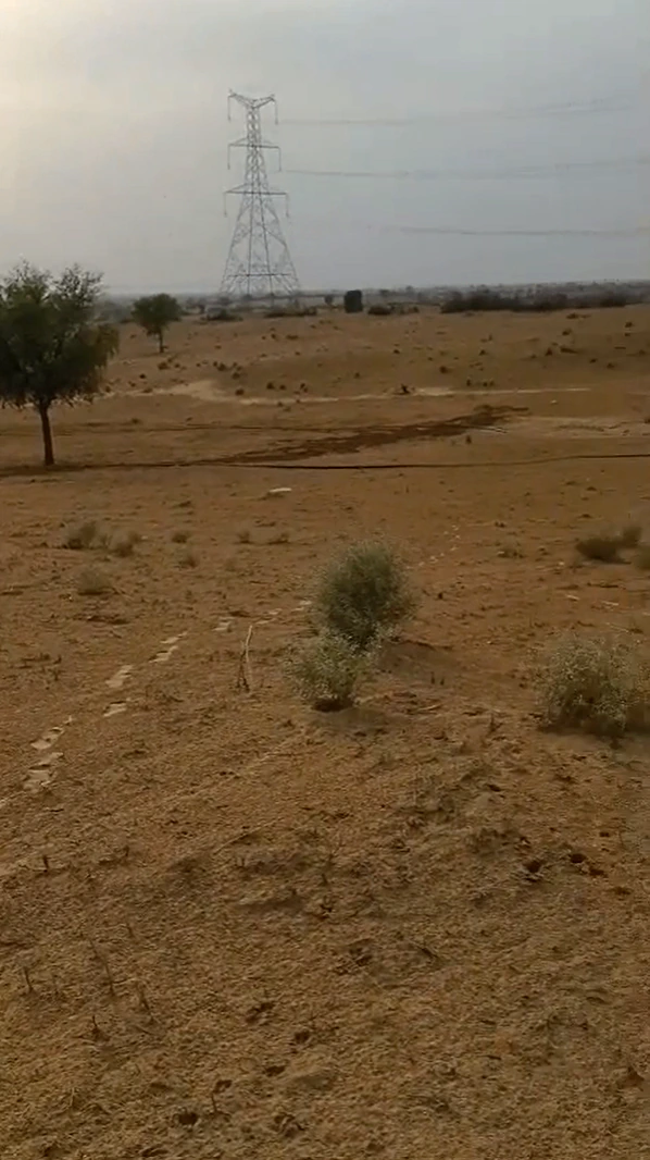 RQM2+5G Chak Beethnokh, Bikaner, Rajasthan, India