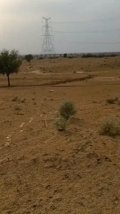 RQM2+5G Chak Beethnokh, Bikaner, Rajasthan, India preview 3