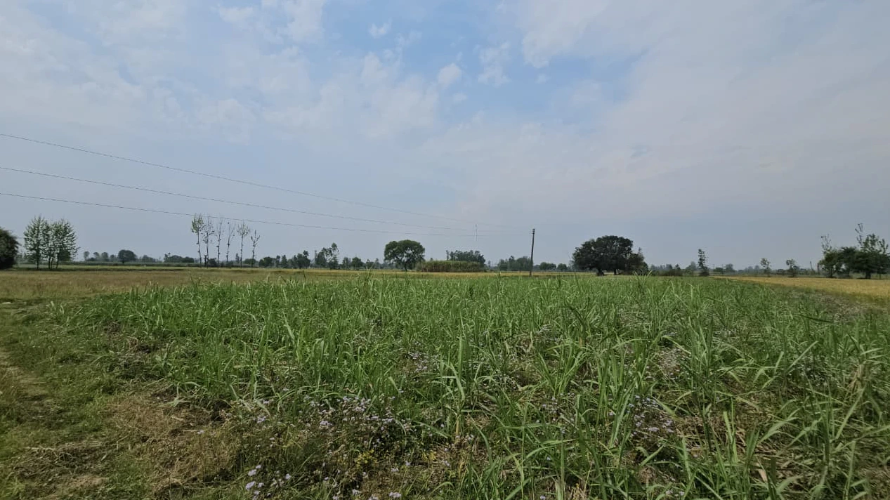 8J43+JF Namana, Bundi, Rajasthan, India
