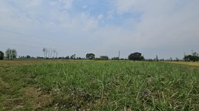 8J43+JF Namana, Bundi, Rajasthan, India preview 2