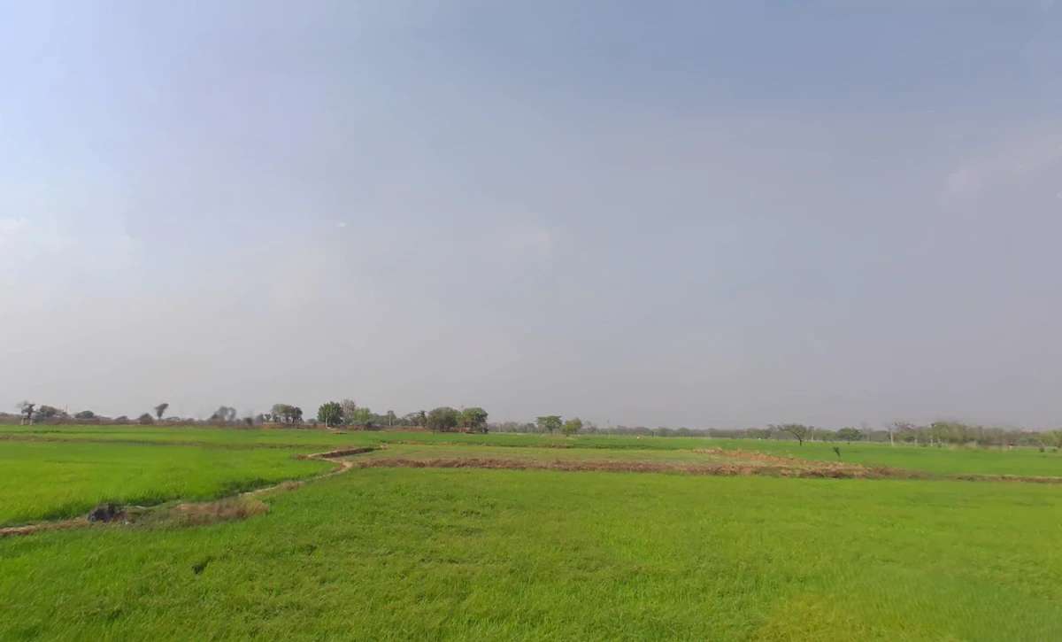 Bhalukona, Chhattisgarh 493555, India