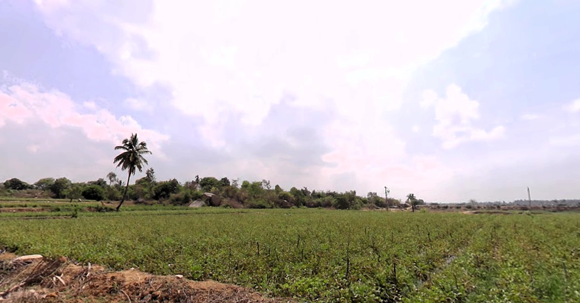 Mulbagal, Karnataka 563131, India