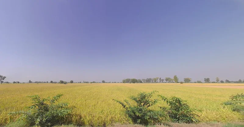 Barjora, West Bengal 722202, India preview 2