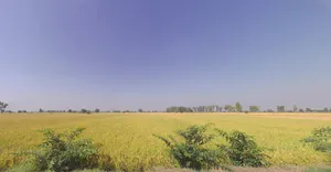 Barjora, West Bengal 722202, India preview 2