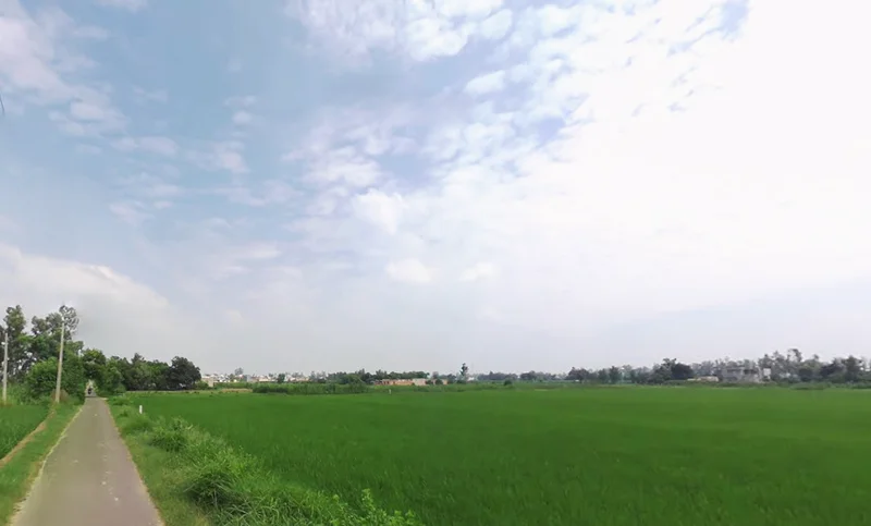 Mullanpur, Punjab 148023, India preview 2