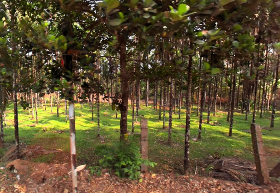 Belthangady, Karnataka 574214, India