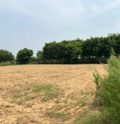Khair, Aligarh, Uttar Pradesh 202138, India