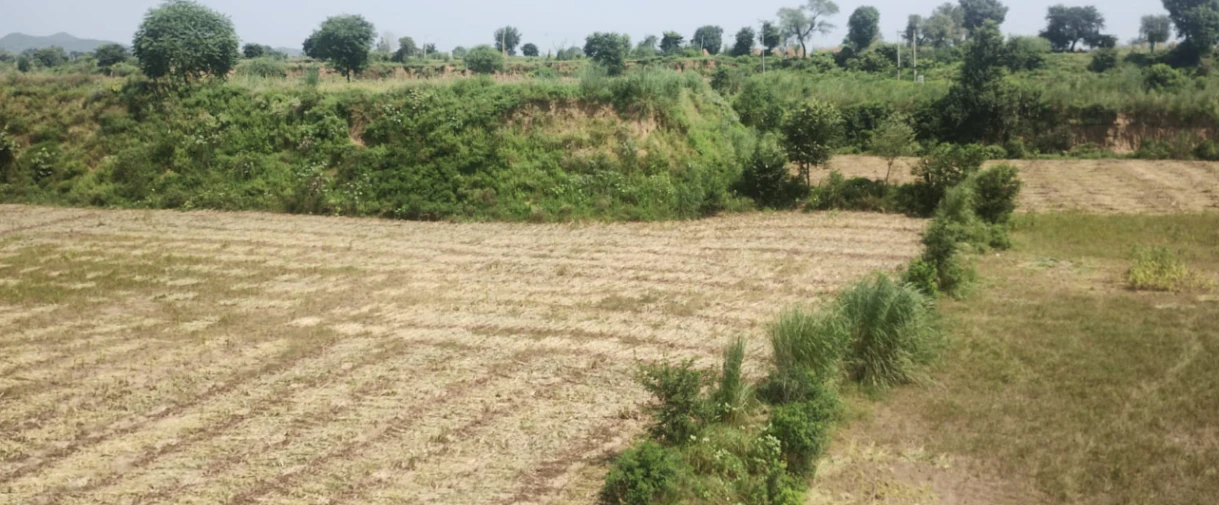 Balachaur, Punjab 144521, India