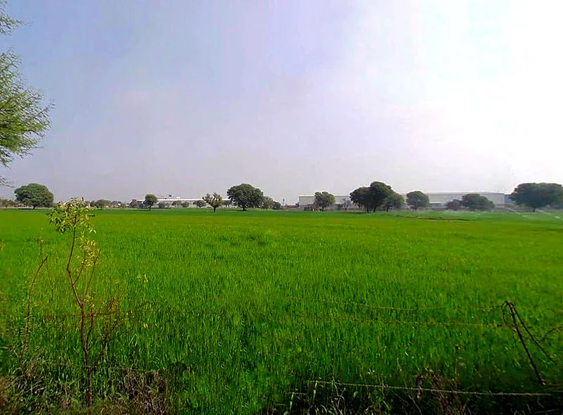 3PRR+46W, Tantiyawas, Rampura Dabri, Rajasthan 303704, India preview 2